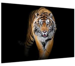 Slika - Tigar (90x60 cm)