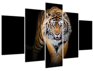 Slika - Tigar (150x105 cm)