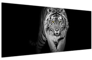 Slika - Tigar sa žutim očima (120x50 cm)