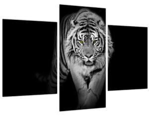 Slika - Tigar sa žutim očima (90x60 cm)