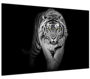 Slika - Tigar sa žutim očima (90x60 cm)