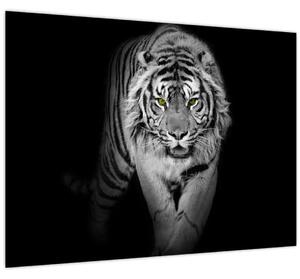 Slika - Tigar sa žutim očima (70x50 cm)