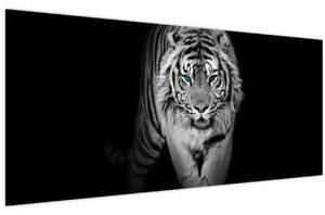 Slika - Tigar s plavim očima (120x50 cm)