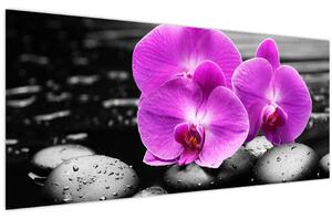 Slika - Ljubičaste orhideje (120x50 cm)