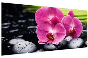Slika - Ružičaste orhideje s palminim lišćem (120x50 cm)