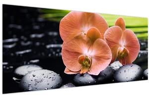 Slika - Narančasta orhideja s palminim lišćem (120x50 cm)