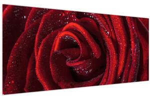 Slika - Crvena ruža s kapljicama rose (120x50 cm)