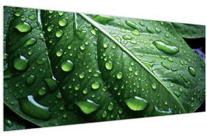 Slika - Detalj lista nakon kiše (120x50 cm)