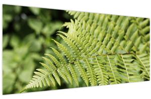 Slika - List paprati (120x50 cm)
