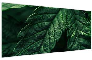 Slika - Detalj lista (120x50 cm)