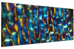 Slika - Stanične stijenke (120x50 cm)