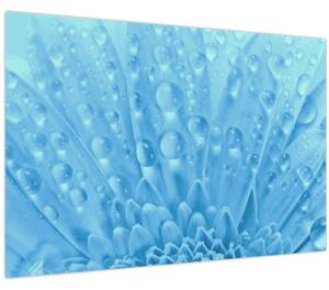 Slika - Makro snimak cvijeta (90x60 cm)