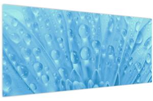 Slika - Makro snimak cvijeta (120x50 cm)