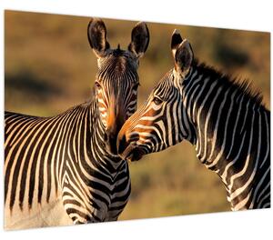 Slika - Dvije zebre (90x60 cm)