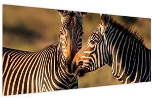 Slika - Dvije zebre (120x50 cm)
