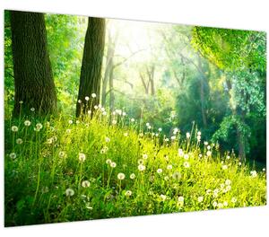 Slika - Čarobna livada puna maslačaka (90x60 cm)