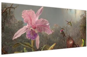 Slika - Martin Johnson Heade, Cattleya Orchid and Three Hummingbirds, reprodukcije (120x50 cm)