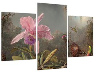 Slika - Martin Johnson Heade, Cattleya Orchid and Three Hummingbirds, reprodukcije (90x60 cm)