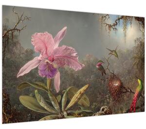 Slika - Martin Johnson Heade, Cattleya Orchid and Three Hummingbirds, reprodukcije (90x60 cm)