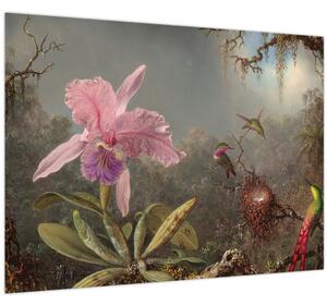 Slika - Martin Johnson Heade, Cattleya Orchid and Three Hummingbirds, reprodukcije (70x50 cm)