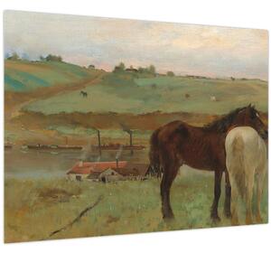 Slika - Edgar Degas, Horses in a Meadow, reprodukcije (70x50 cm)