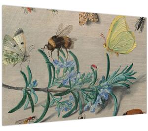 Slika - Jan van Kessel the Elder, Insects and a Sprig of Rosemary, reprodukcije (90x60 cm)