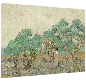 Staklena slika - Vincent van Gogh, The Olive Orchard, reprodukcije (70x50 cm)