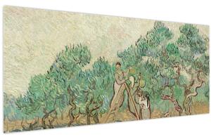 Slika - Vincent van Gogh, The Olive Orchard, reprodukcije (120x50 cm)