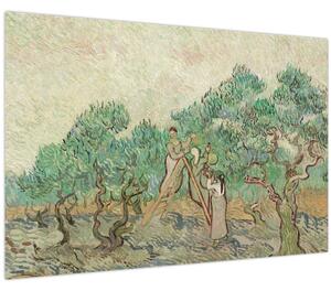 Slika - Vincent van Gogh, The Olive Orchard, reprodukcije (90x60 cm)