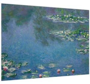 Slika - Claude Monet, Water Lilies, reprodukcije (70x50 cm)