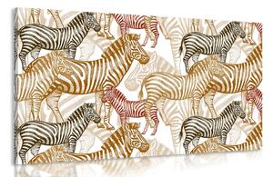 Slika carstvo zebra