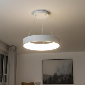 Brilagi - LED Prigušivi luster na sajli LED/40W/230V 3000-6500K bijela + DU
