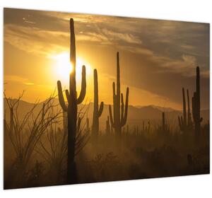 Slika - Saguaro kaktusi (70x50 cm)