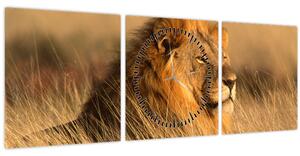 Slika - Nacionalni park Etosha (sa satom) (90x30 cm)