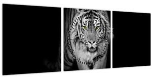 Slika - Tigar sa žutim očima (sa satom) (90x30 cm)