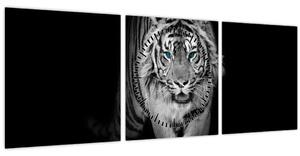 Slika - Tigar s plavim očima (sa satom) (90x30 cm)