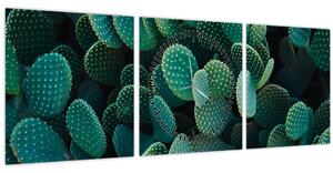 Slika - Opuntia (sa satom) (90x30 cm)