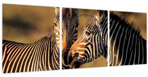 Slika - Dvije zebre (sa satom) (90x30 cm)