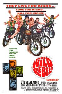 Ilustracija Wild Rebels