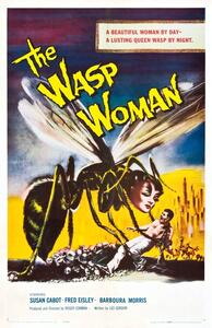 Ilustracija Wasp Woman