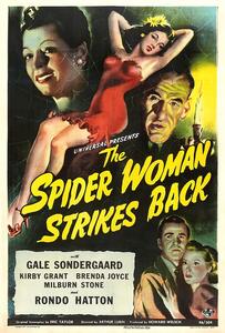 Ilustracija Spider Woman Strikes Back