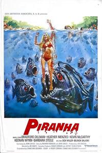 Ilustracija Piranha 02