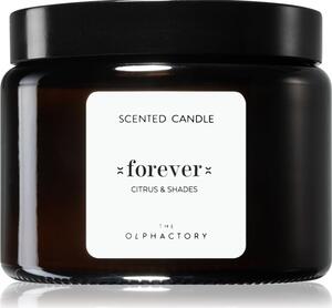 Ambientair The Olphactory Citrus & Shades mirisna svijeća Forever 360 g