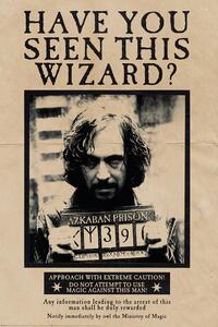 Poster Harry Potter - Sirius Black