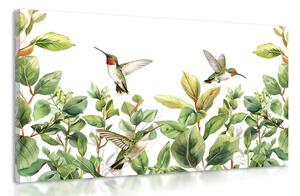 Slika kolibriji i lišće