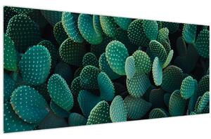 Slika - Opuntia (120x50 cm)