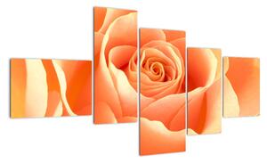 Slika - narančaste ruže (150x85cm) (F000693F15085)