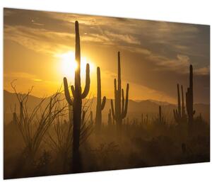 Slika - Saguaro kaktusi (90x60 cm)