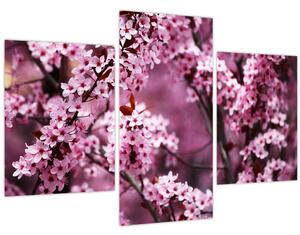 Slika - Ružičasta sakura (90x60 cm)