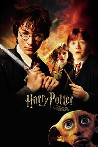 Ilustracija Harry Potter - Chamber of secrets, (26.7 x 40 cm)